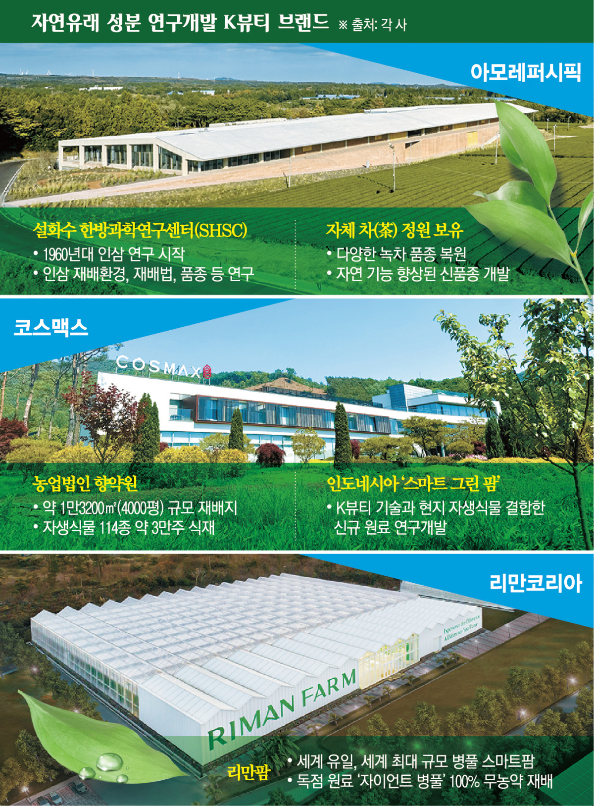 ▲자연 유래 성분 연구개발 K뷰티 브랜드 현황 (이투데이 그래픽팀=신미영 기자)