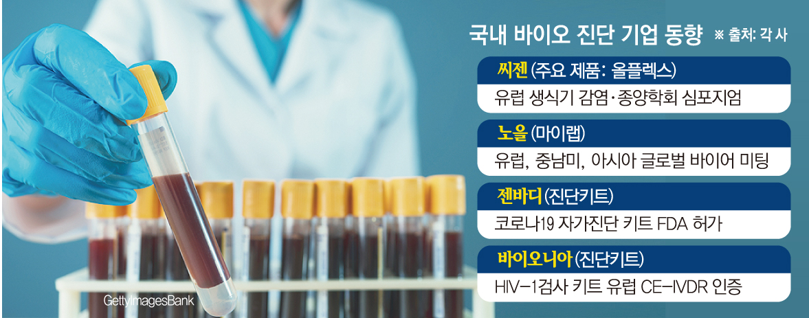(그래픽=손미경 기자 sssmk@)