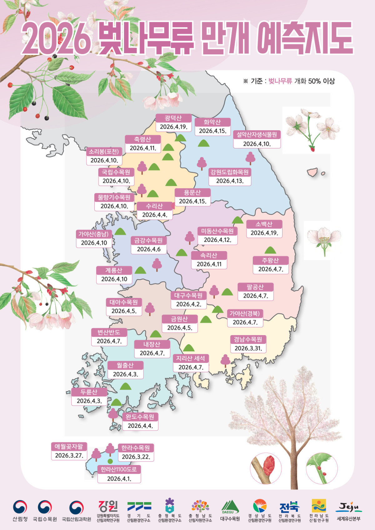 ▲2026 벚꽃 만개시기는? (출처=산림청)