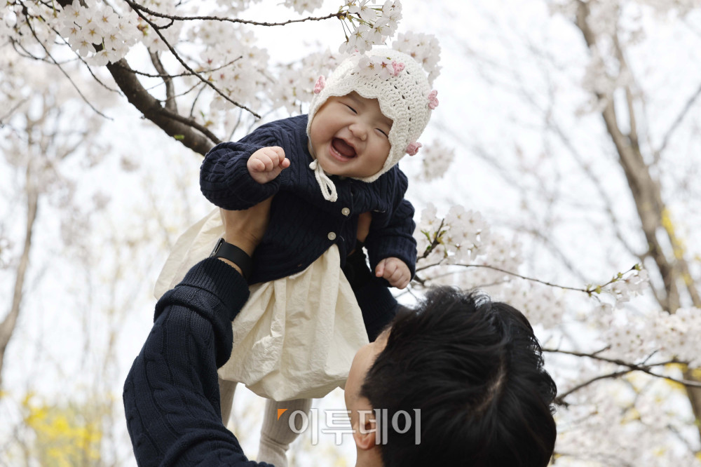▲여의도 봄꽃축제가 열린 3일 서울 영등포구 여의서로에서 시민들이 벚꽃을 배경으로 사진을 찍고 있다. 7일까지 열리는 이번 행사는 여의서로 벚꽃길과 한강공원 일대에서 진행되며, 입장료는 무료이다. 김예연 인턴기자 kimye@