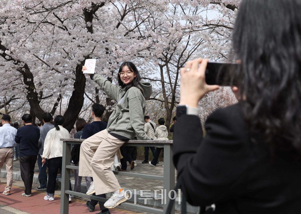 ▲여의도 봄꽃축제가 열린 3일 서울 영등포구 여의서로에서 시민들이 벚꽃을 배경으로 사진을 찍고 있다. 7일까지 열리는 이번 행사는 여의서로 벚꽃길과 한강공원 일대에서 진행되며, 입장료는 무료이다. 김예연 인턴기자 kimye@