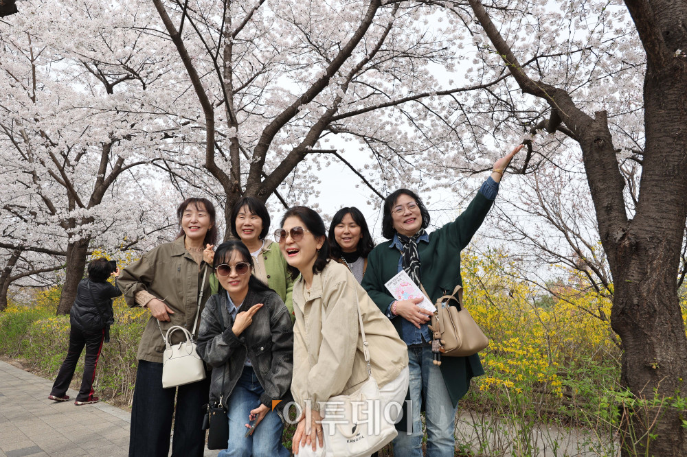▲여의도 봄꽃축제가 열린 3일 서울 영등포구 여의서로에서 시민들이 벚꽃을 배경으로 사진을 찍고 있다. 7일까지 열리는 이번 행사는 여의서로 벚꽃길과 한강공원 일대에서 진행되며, 입장료는 무료이다. 김예연 인턴기자 kimye@