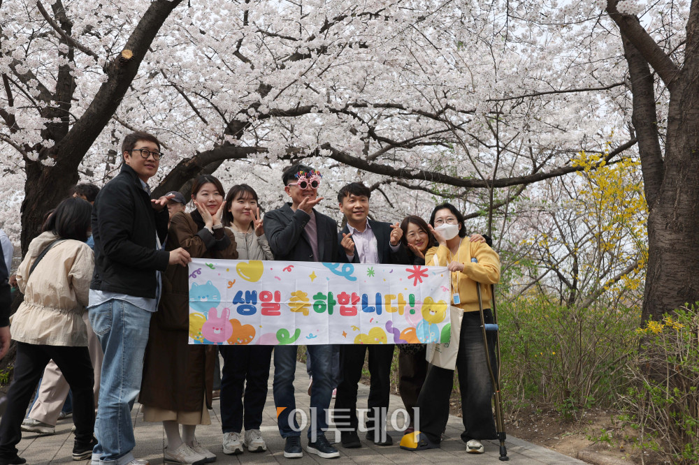 ▲여의도 봄꽃축제가 열린 3일 서울 영등포구 여의서로에서 시민들이 벚꽃을 배경으로 사진을 찍고 있다. 7일까지 열리는 이번 행사는 여의서로 벚꽃길과 한강공원 일대에서 진행되며, 입장료는 무료이다. 김예연 인턴기자 kimye@