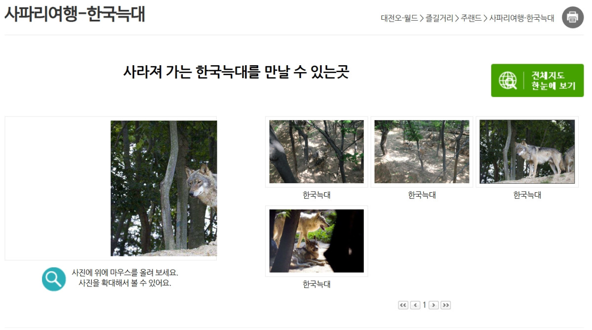 오월드 늑대 탈출 안전재난문자 관련 이미지