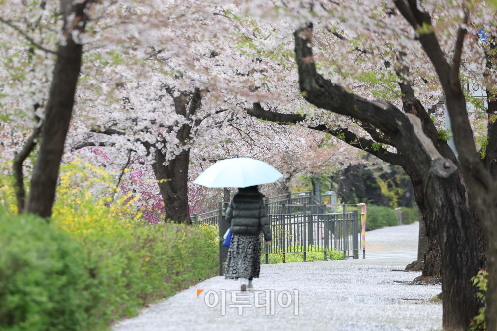 ▲봄비가 내리는 9일 오전 서울 여의도 여의서로에서 시민들이 우산을 쓰고 걸어가고 있다. 이날 내린 비는 10일 오후부터 대부분 그치며 이후에는 다시 맑은 하늘이 이어질 전망이다. 김예연 인턴기자 kimye@
