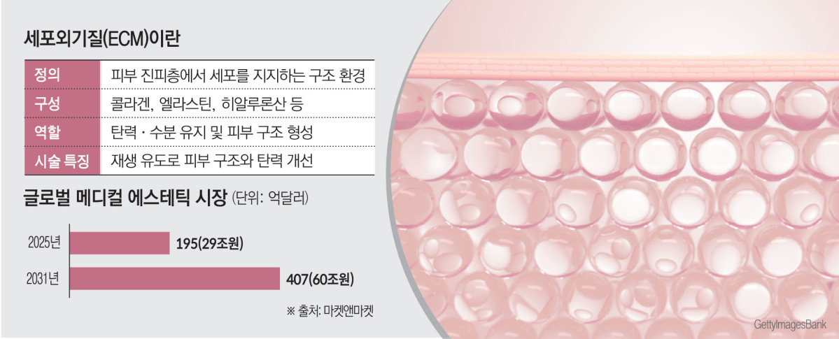(그래픽=김소영 기자 sue@)