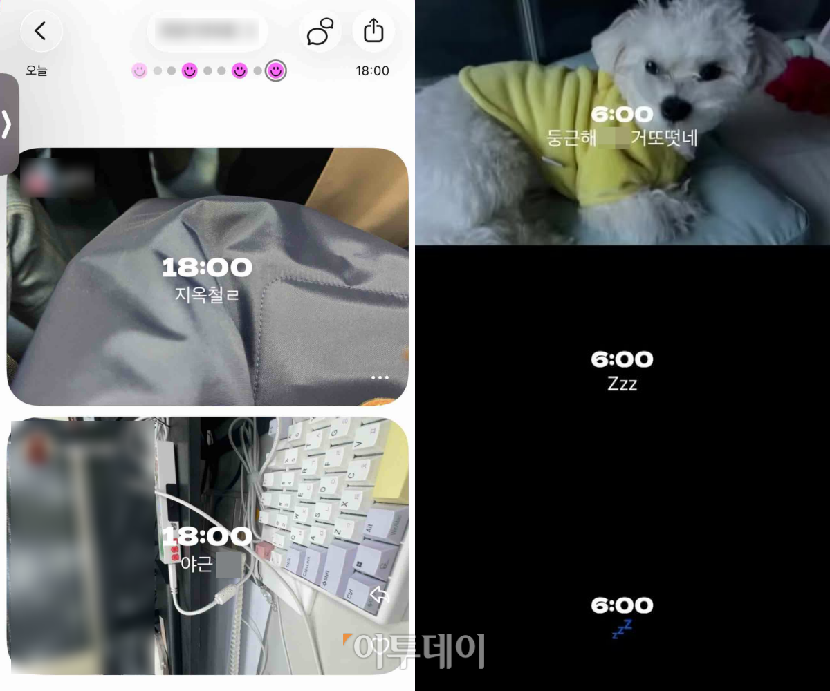 ▲(출처=독자 제공)