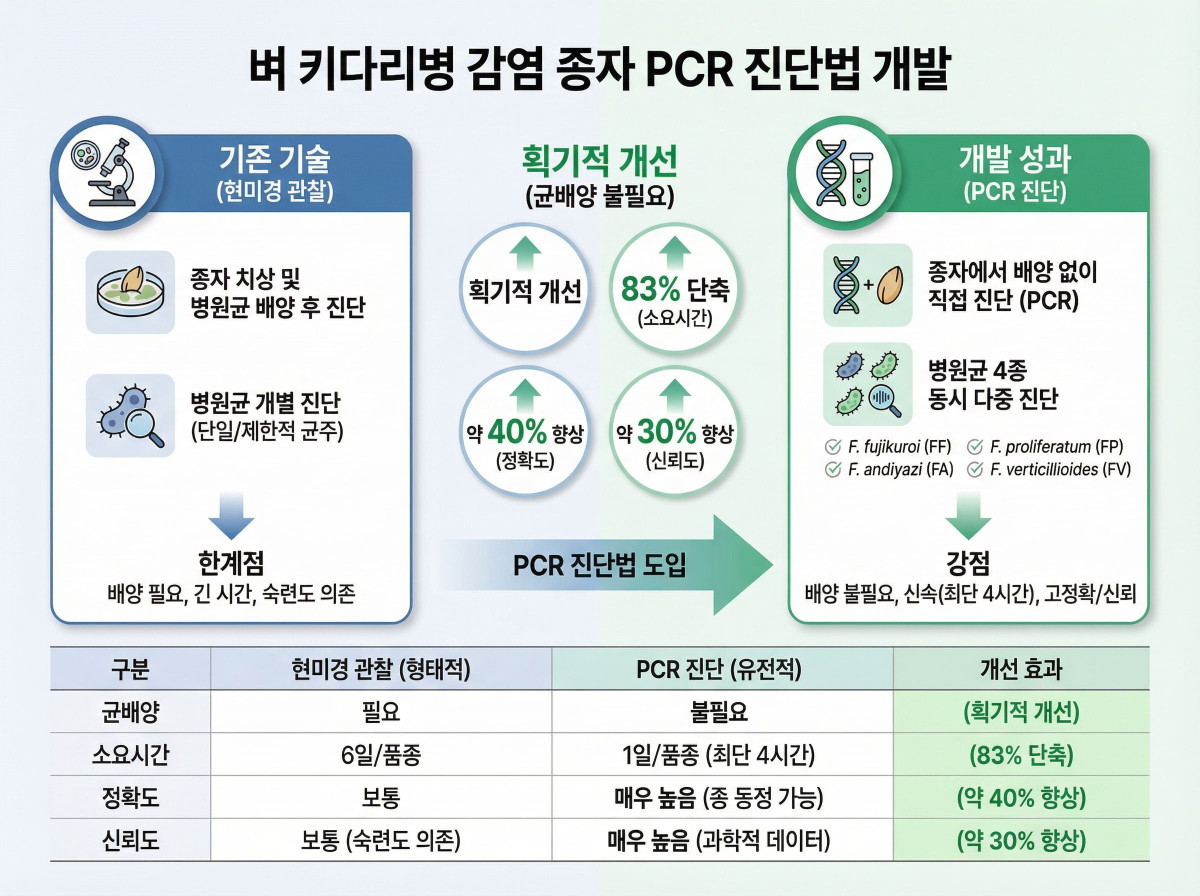 ▲벼 키다리병 감염 종자 PCR 진단법 개발 (자료제공=농림축산식품부)