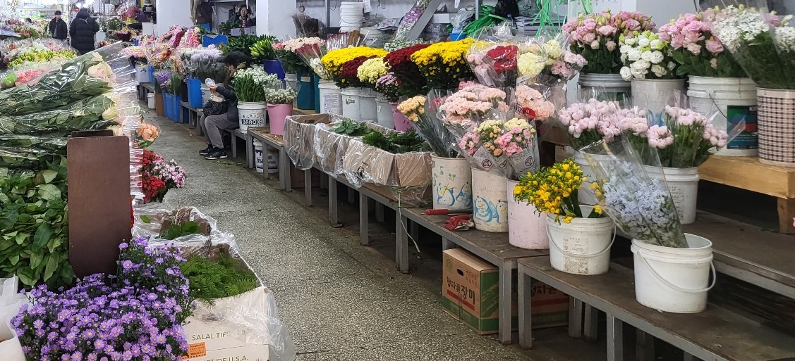 ▲국화 (사진제공=농림축산식품부)