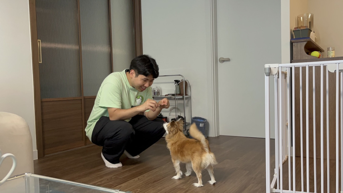 ▲반려동물 행동 교정 교육 모습. (사진 제공 = 서울특별시 성동구)