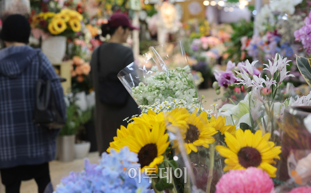 ▲22일 서울 양재 꽃시장을 찾은 시민들이 화훼 상품을 살펴보고 있다. 중동전쟁으로 인한 고물가 여파로 시장은 한산한 모습이다. 김예연 인턴기자 kimye@