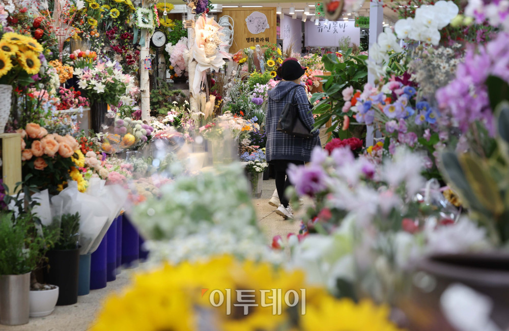 ▲22일 서울 양재 꽃시장을 찾은 시민들이 화훼 상품을 살펴보고 있다. 중동전쟁으로 인한 고물가 여파로 시장은 한산한 모습이다. 김예연 인턴기자 kimye@