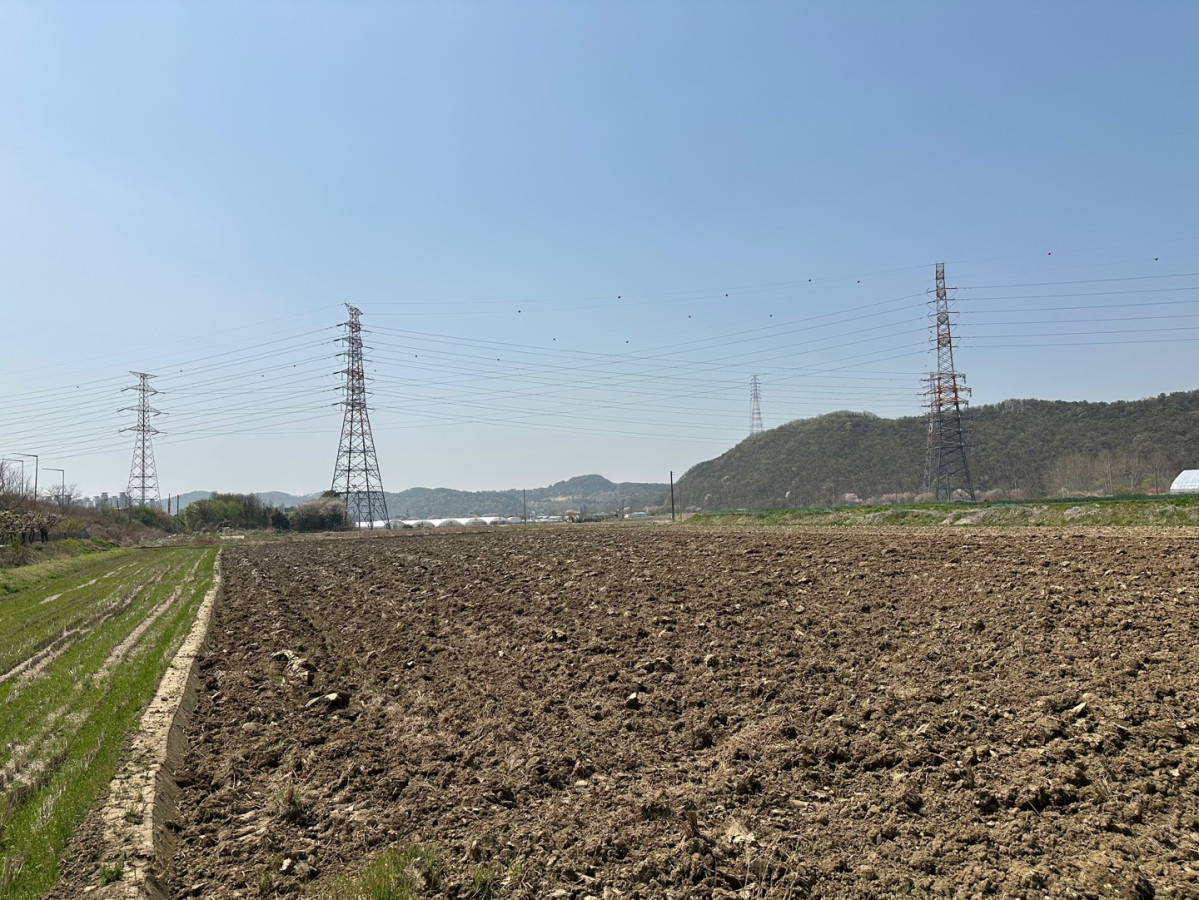 ▲경기 용인시 처인구 남사읍 일대 넓은 밭 전경. 이곳에는 용인 반도체 클러스터 국가산단이 들어설 예정이다. (이수진 기자 abc123@)