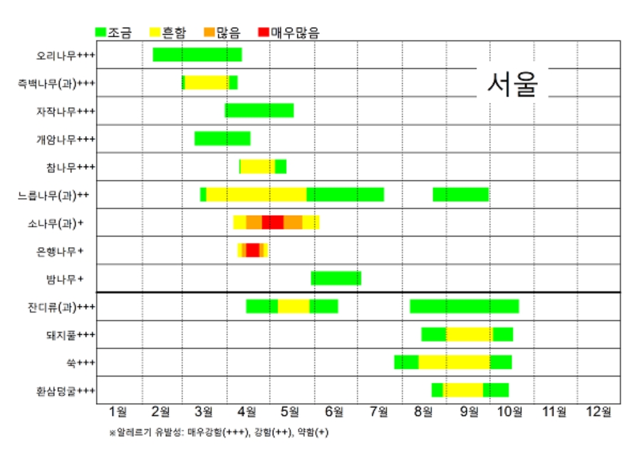 ▲뿌연 노란 가루…송화가루가 몰려온다, 송화가루 날리는 시기, 4월이 피크가 된 이유 (출처=국립기상과학원)