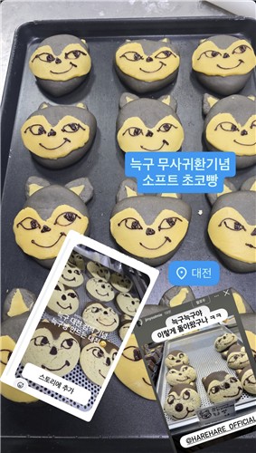 ▲하레하레에서 출시한 '늑구빵'. (하레하레 공식 인스타그램 갈무리, 연합뉴스)