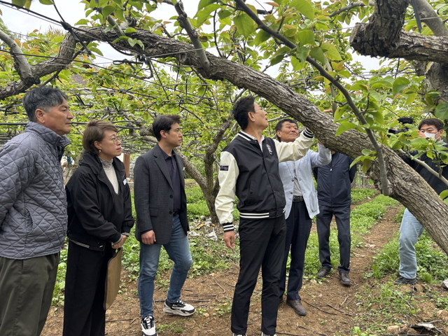 ▲전남도 순천시는 기후 이상과 농자재 가격 상승으로 인한 농가 피해를 점검하기 위해 순천시가 낙안면의 배·오이 재배 농가를 방문해 긴급 현장 점검을 실시하고 있다. (사진제공=순천시)