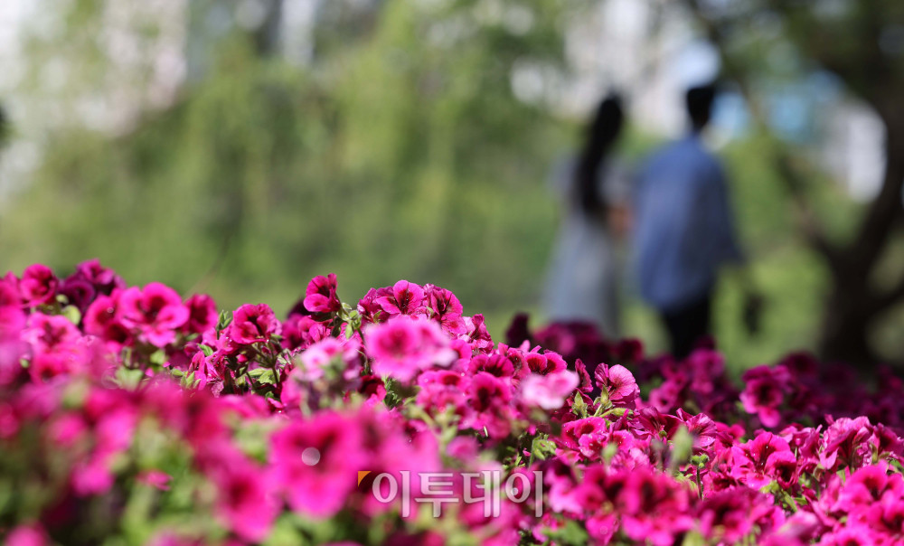 ▲2026 고양국제꽃박람회 개막 후 첫 주말인 26일 경기 고양시 일산호수공원에서 관람객들이 꽃을 관람하고 있다. 박람회는 다음 달 10일까지 진행되며 '꽃, 시간을 물들이다'를 주제로 화려한 야외 전시, 공연 및 이벤트, 플라워마켓 등을 즐길 수 있다. 김예연 인턴기자 kimye@