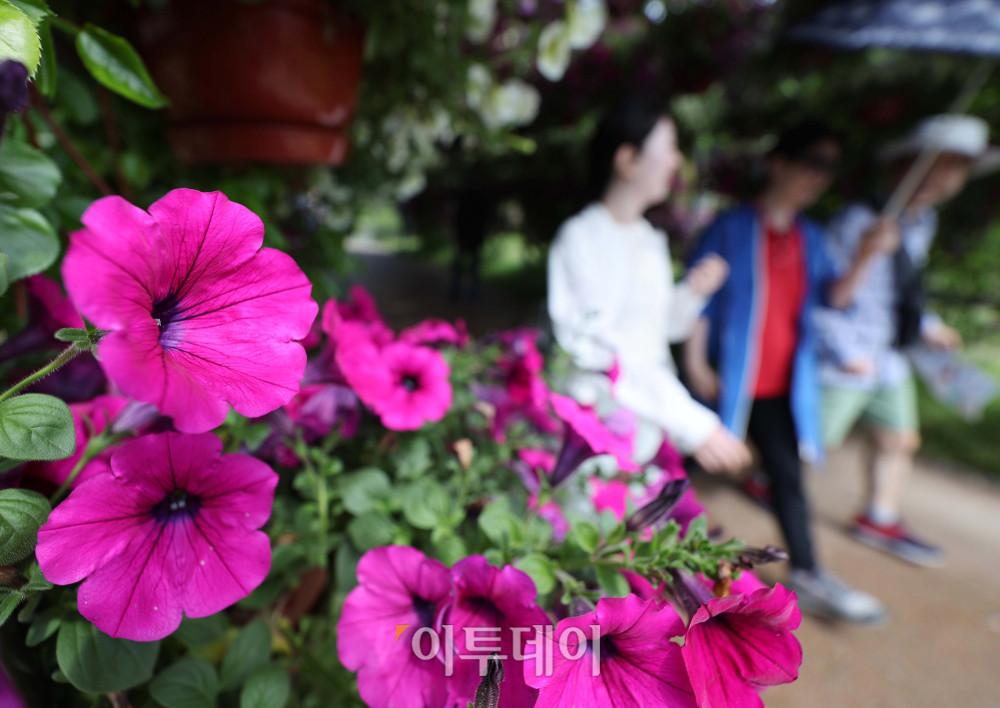▲2026 고양국제꽃박람회 개막 후 첫 주말인 26일 경기 고양시 일산호수공원에서 관람객들이 꽃을 관람하고 있다. 박람회는 다음 달 10일까지 진행되며 '꽃, 시간을 물들이다'를 주제로 화려한 야외 전시, 공연 및 이벤트, 플라워마켓 등을 즐길 수 있다. 김예연 인턴기자 kimye@