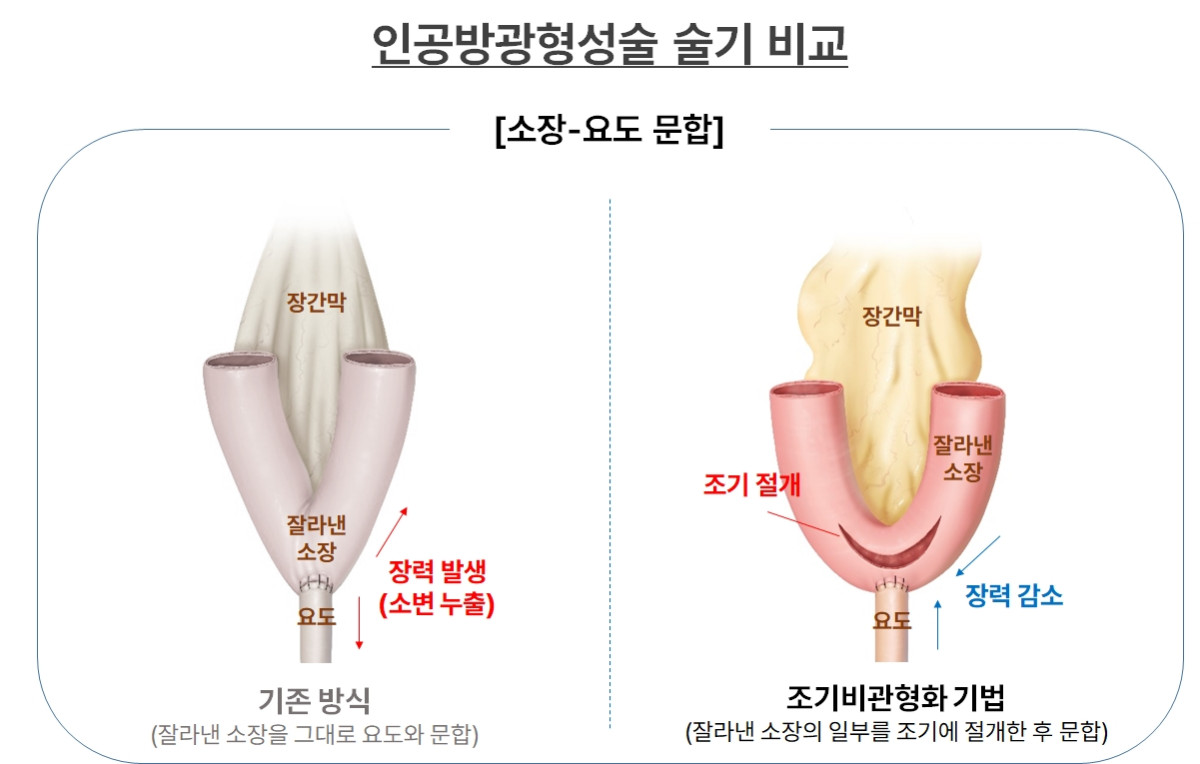 (사진제공=분당서울대병원)