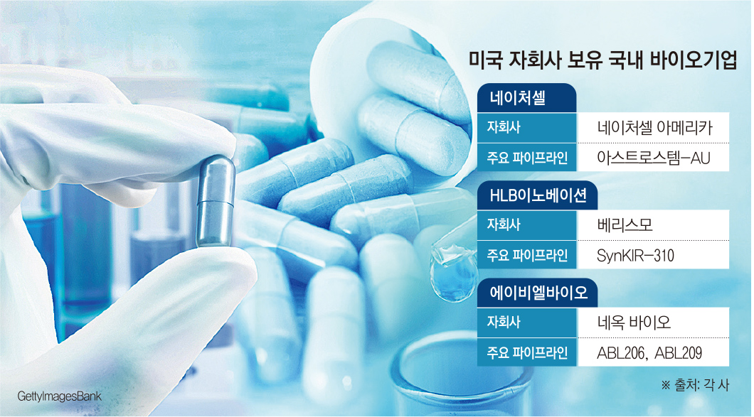 (그래픽=손미경 기자 sssmk@)