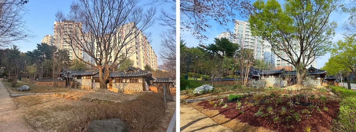 ▲한국 자생식물을 활용한 서울특별시 은평구 진관동 금성당 입구 정원 조성 전(왼쪽)과 후. (사진 제공 = 은평구)
