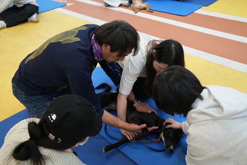 (서울호서전문학교 제공)