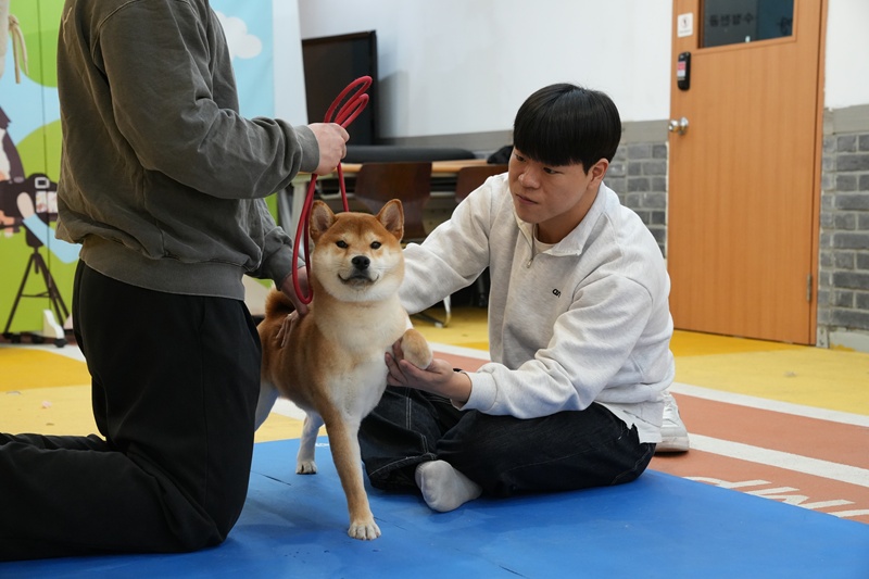 (서울호서전문학교 제공)