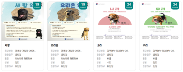 ▲국가봉사동물 입양정보 화면. (국가동물보호정보시스템)