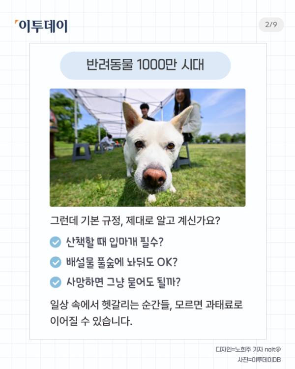 ▲반려인 필수 상식 다섯가지. (일러스트=챗 GPT AI 생성)