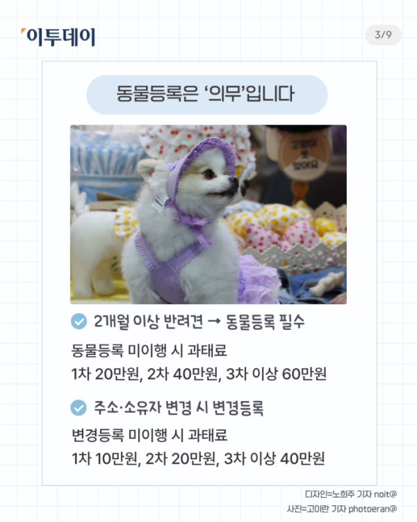 ▲반려인 필수 상식 다섯가지. (일러스트=챗 GPT AI 생성)