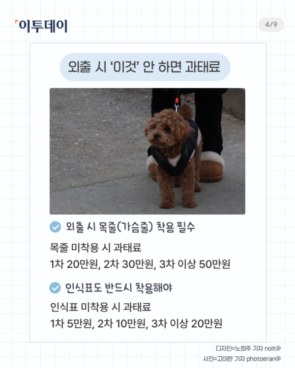 ▲반려인 필수 상식 다섯가지. (일러스트=챗 GPT AI 생성)