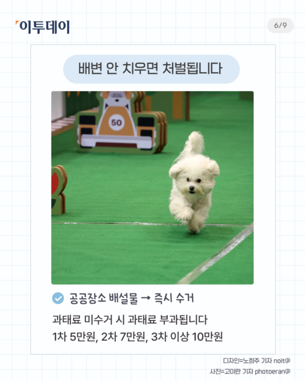 ▲반려인 필수 상식 다섯가지. (일러스트=챗 GPT AI 생성)