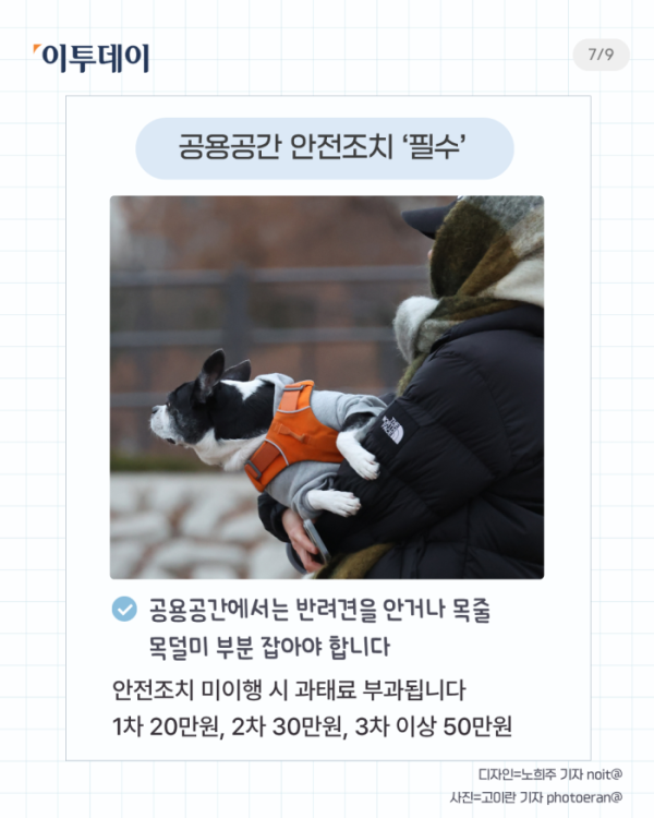 ▲반려인 필수 상식 다섯가지. (일러스트=챗 GPT AI 생성)