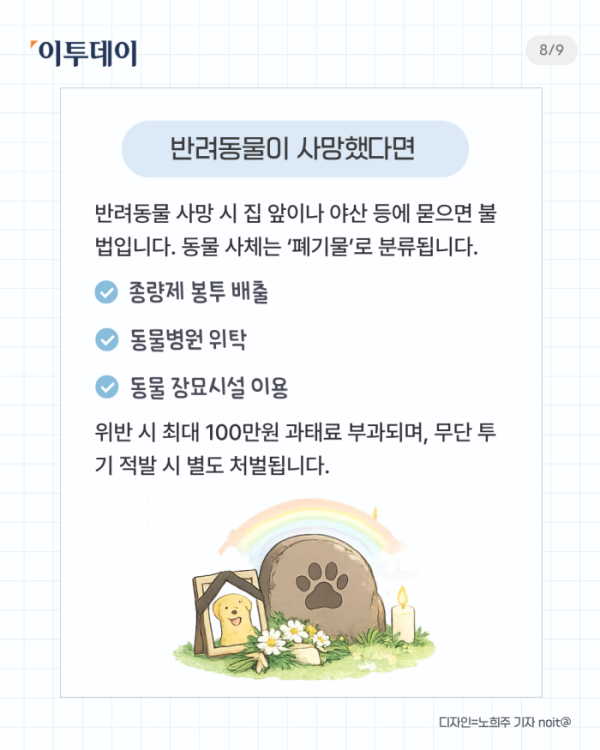 ▲반려인 필수 상식 다섯가지. (일러스트=챗 GPT AI 생성)