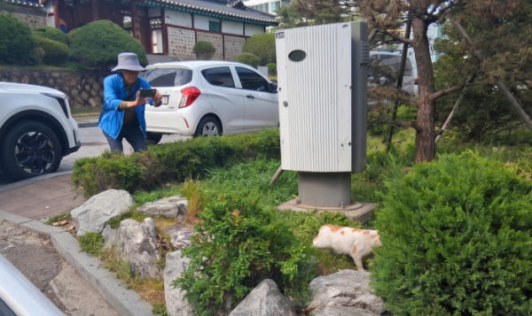 ▲정기상 동네 고양이 모니터링 활동가가 인천 계양구 한 주택가에서 고양이의 서식 현황을 살피고 있다. (한국노인인력개발원 제공)