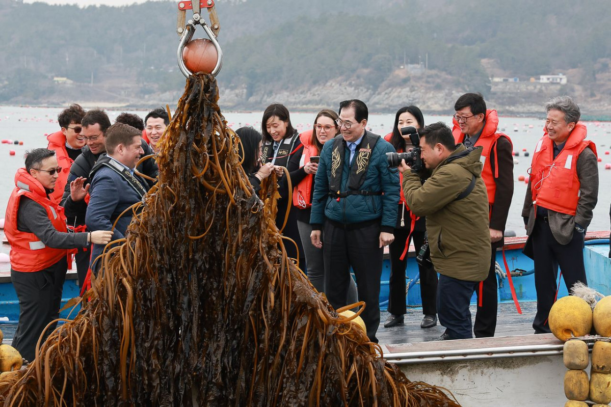 ▲미국 에너지부 산하 기관인 에너지 고등 계획원(ARPA-E) 관계자들이 2024년 1월 18일 전남 완도군을 방문해 신우철 완도군수와 함께 해조류 양식 현장을 둘러보고 있다. (사진제공=완도군)
