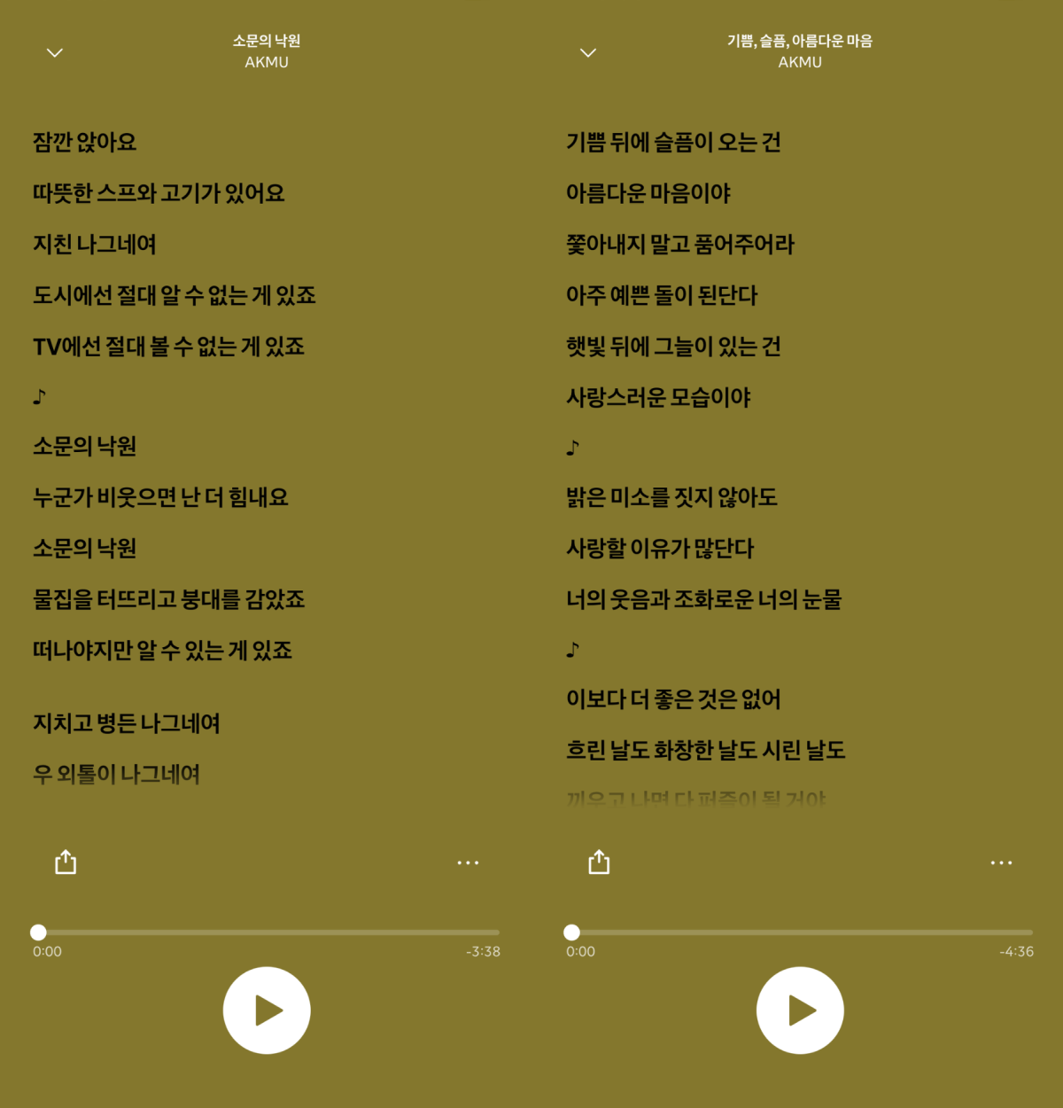 ▲악뮤(AKMU)의 정규 4집 앨범 '개화'에 수록된 곡의 가사들. (출처=스포티파이 캡처)