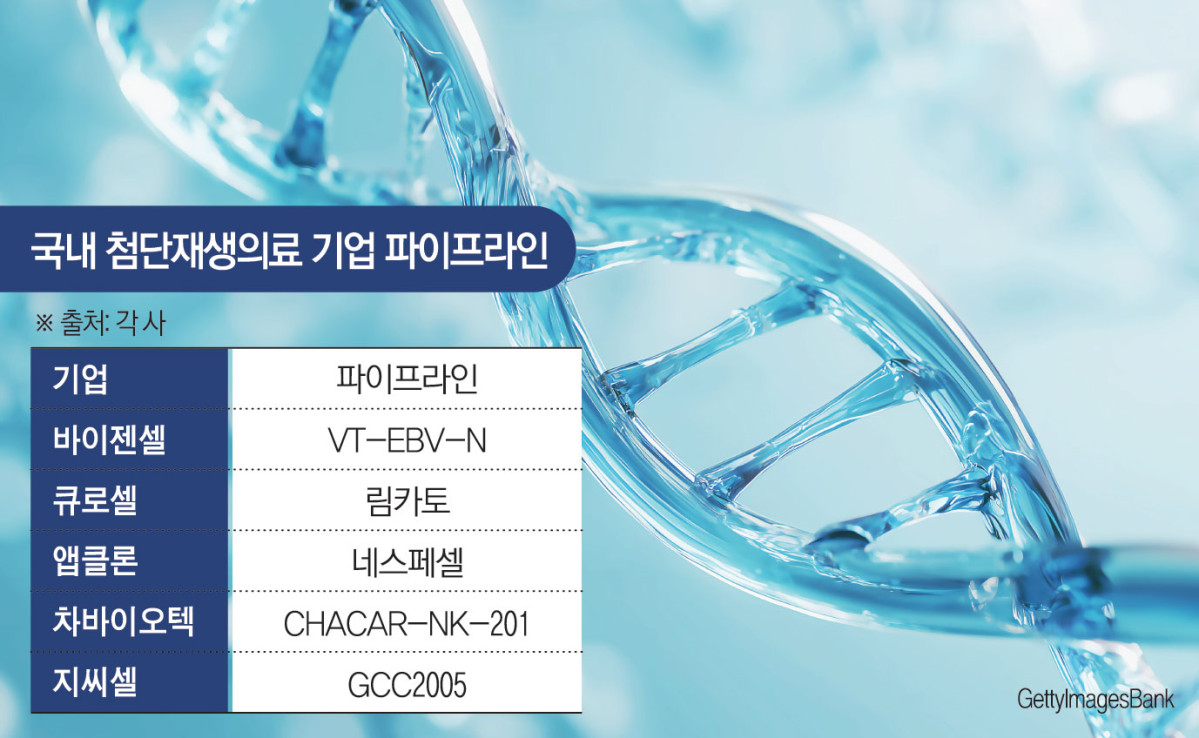 (그래픽=김소영 기자 sue@)