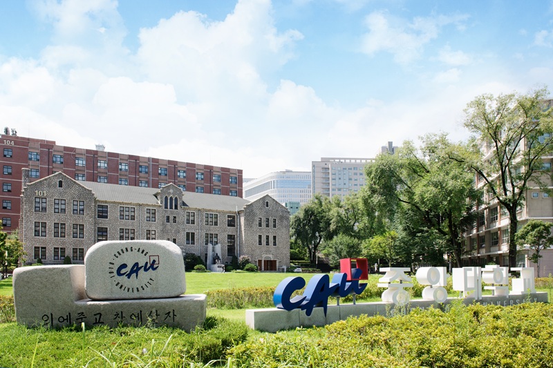 (중앙대학교 심리서비스대학원 제공)