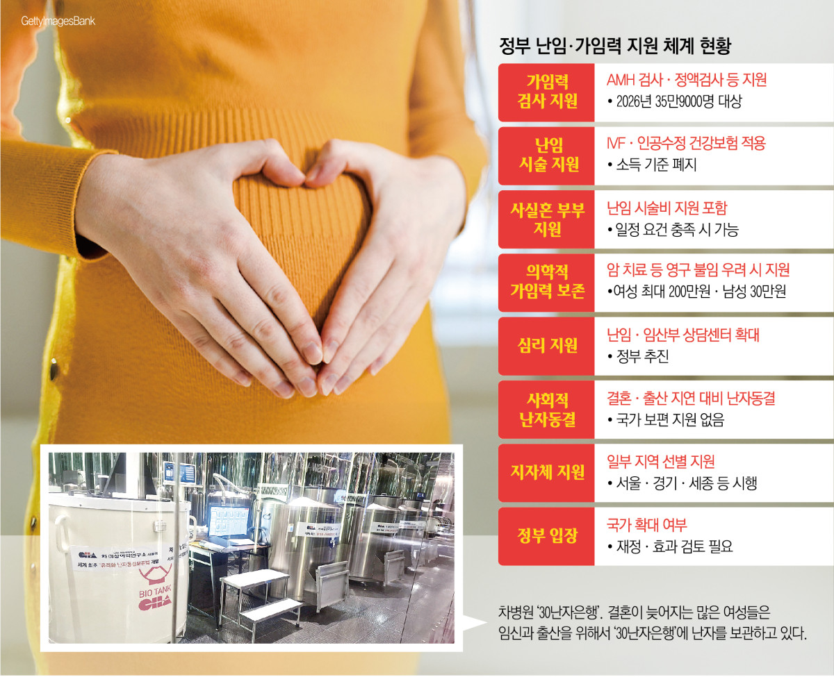 ▲정부 난임·가임력 지원 체계 현황