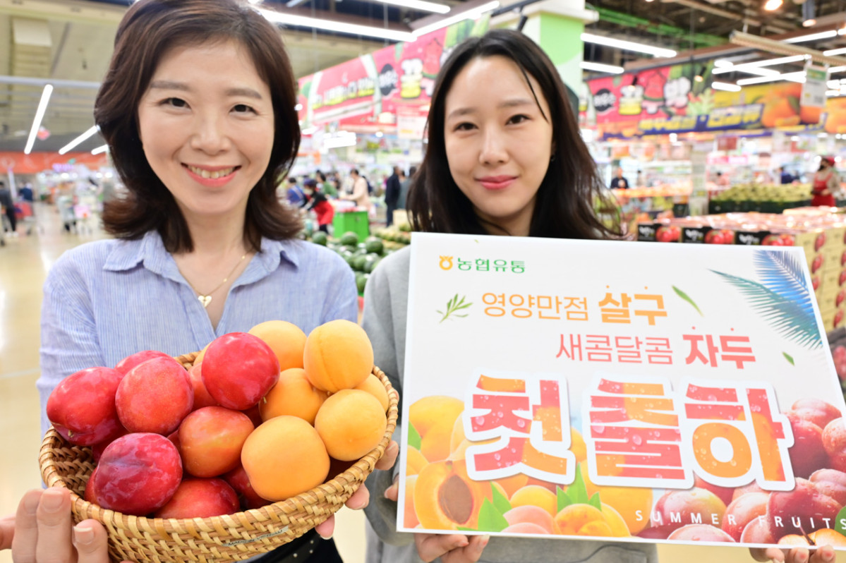 ▲10일 서울 서초구 하나로마트 양재점에서 자두와 살구가 올해 첫 판매를 시작했다. (사진제공=농협유통)
