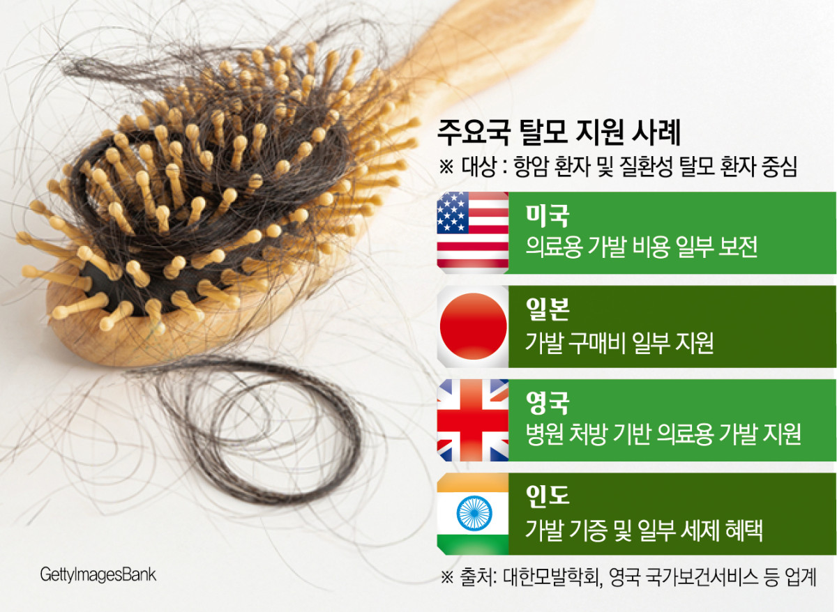 (그래픽=신미영 기자 win8226@)