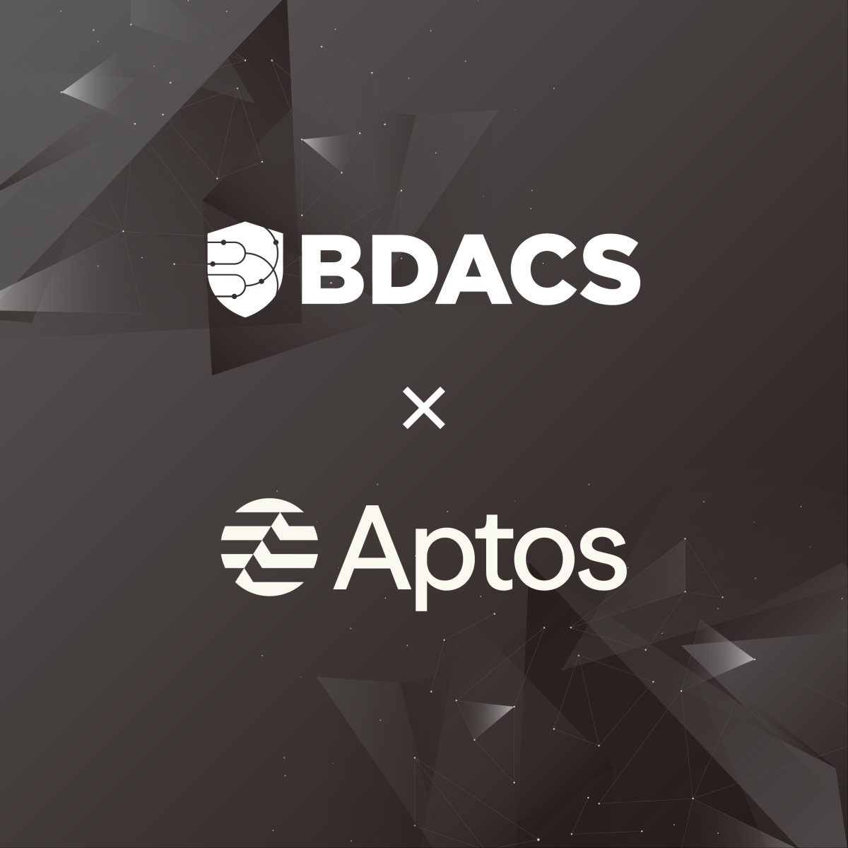 (사진=비댁스(BDACS))