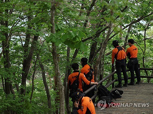 ▲북 청송군 주왕산국립공원에서 소방 구조대가 가파른 지형과 수풀로 뒤덮인 수습 현장 쪽을 바라보는 모습. (연합뉴스)
