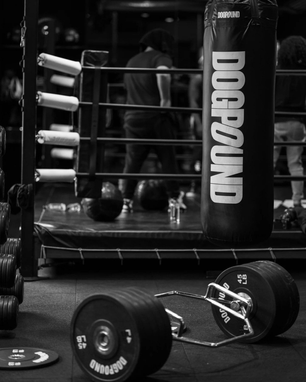 ▲독파운드 헬스장. (사진제공=DOGPOUND)