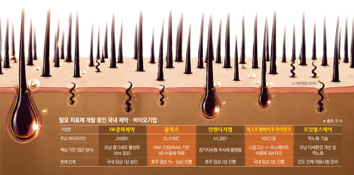 (그래픽=신미영 기자 win8226@)