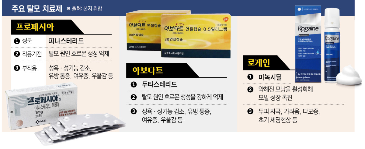 (그래픽=신미영 기자 win8226@)