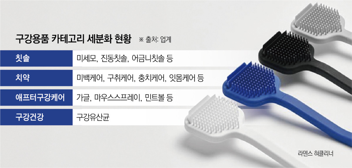 ▲구강용품 카테고리 세분화 (이투데이 그래픽팀=신미영 기자)