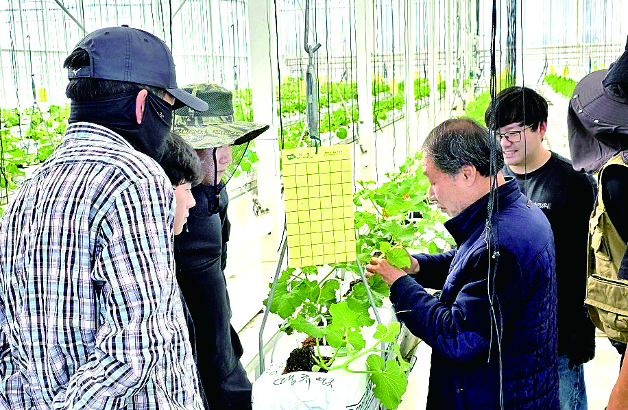▲전남 고흥군이 29일까지 '스마트팜 청년창업 보육센터 전남 7기' 교육생 52명을 모집한다. (사진제공=고흥군)