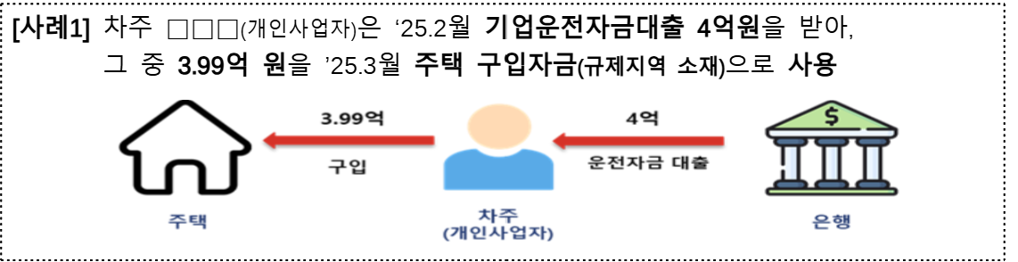 ▲사업자대출 용도외 유용 사례 (사진제공=금융위원회)